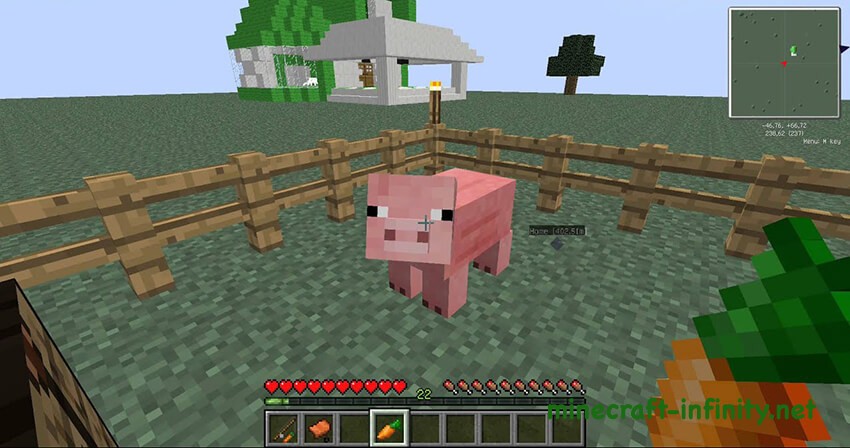 Как приручить свинью в Майнкрафте